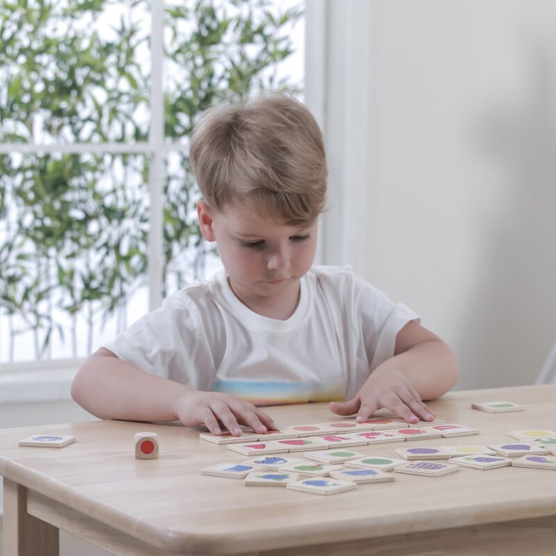 Gra edukacyjna drewniana układanka sortuj dopasuj kolory i kształty 38 el. Montessori, zabawka dla dzieci, Viga