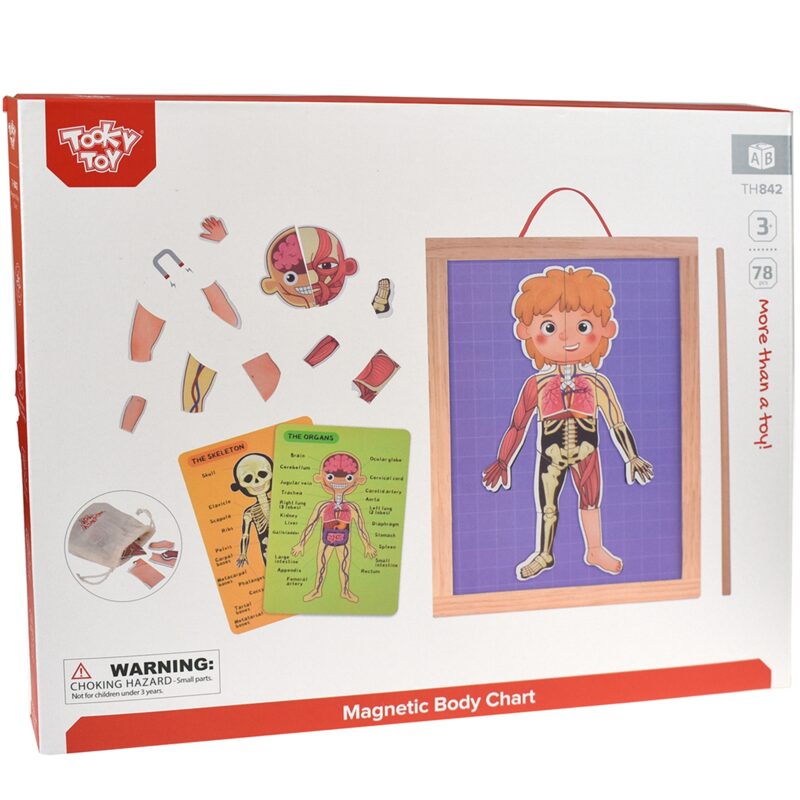 Drewniane puzzle Montessori magnetyczne nauka anatomia człowieka 78el., zabawka dla dzieci, Tooky Toy