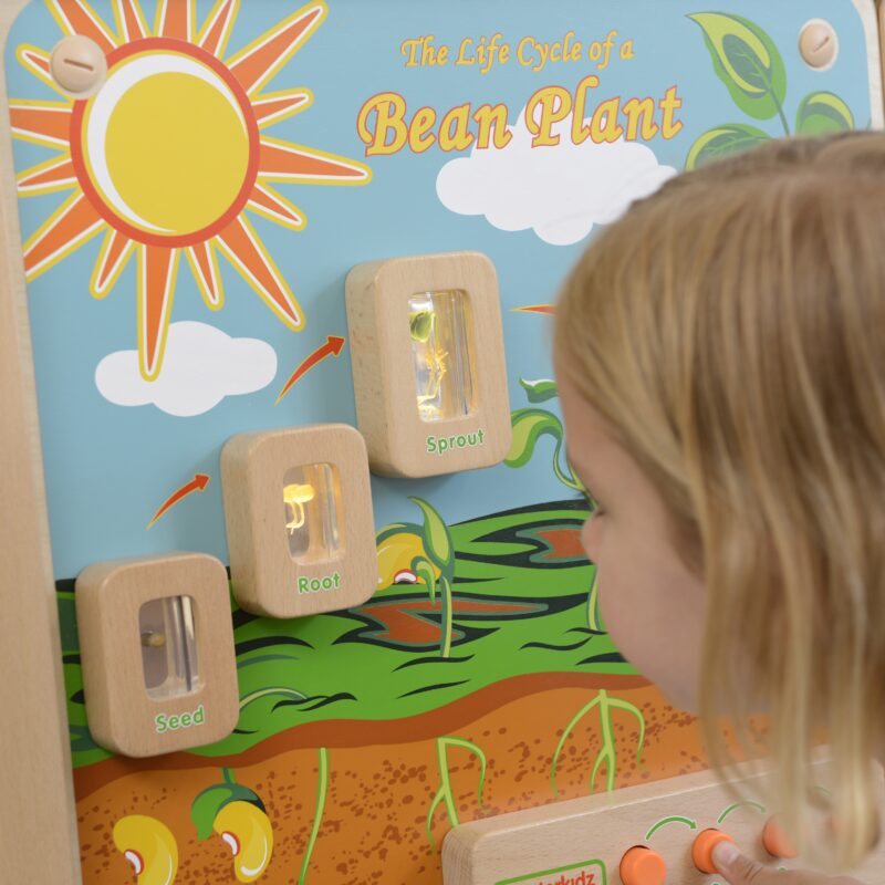 Cykl życia rośliny tablica edukacyjna Masterkidz, zabawka dla dzieci