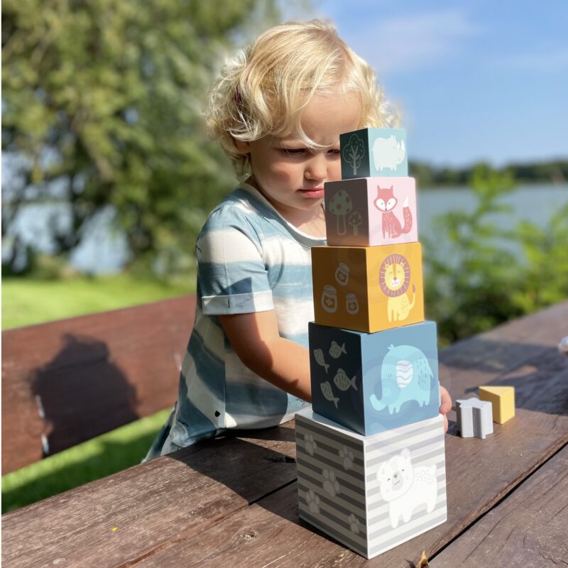 Piramidka układanka edukacyjna sorter kostki klocki, zabawka dla dzieci, Viga PolarB