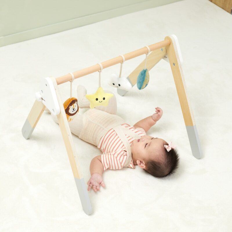 Pałąk stojak dla niemowląt baby gym, zabawka dla dzieci, Viga PolarB