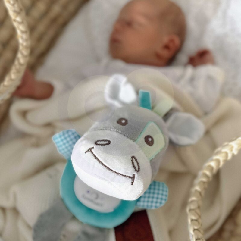 Interaktywny pluszak przytulanka dla niemowląt światło dźwięk osiołek usypiacz, zabawka dla dzieci, Woopie