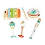 Zestaw instrumenty muzyczne dla dzieci cymbałki bębenek flet marakasy w skrzyni 6 el., zabawka dla dzieci, Tooky Toy