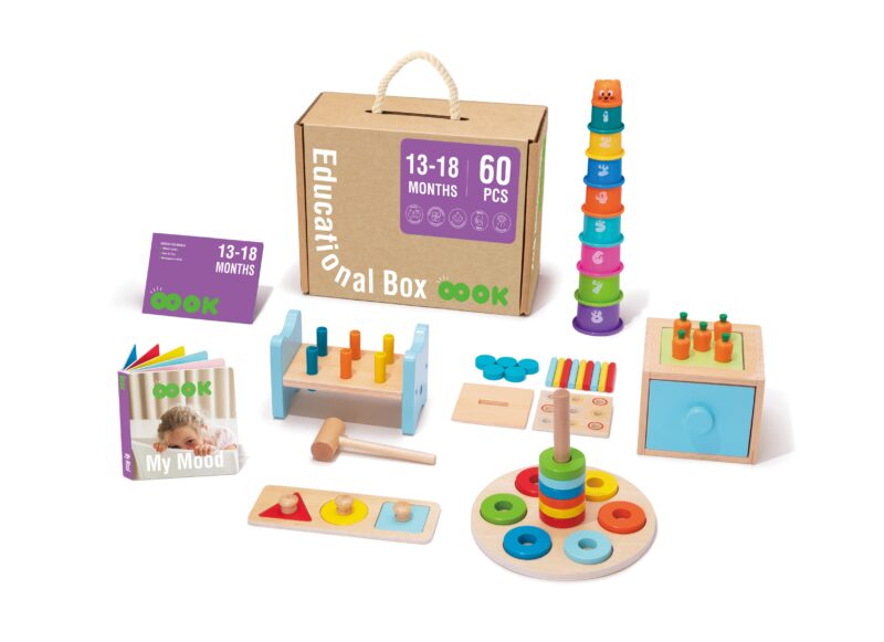 Edukacyjne pudełko Montessori wbijak układanka sorter 6w1 od 13-18 miesiąca, zabawka dla dzieci, Tooky Toy
